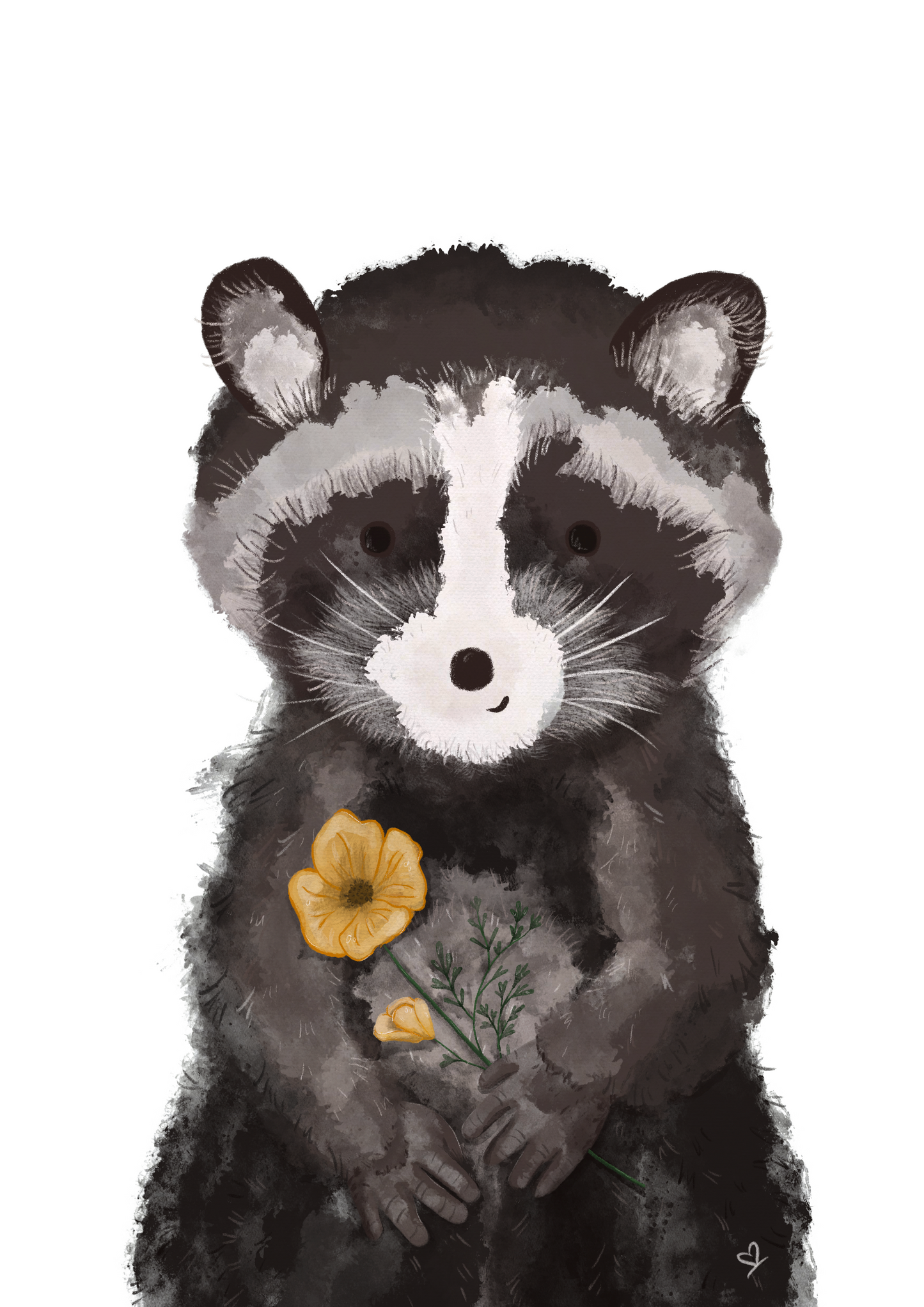Das Bild vom Waschbären ist eine handgemachte Illustration. Man sieht die schöne, detaillierte Struktur des Motives. Ein grau, schwarz, weißer Waschbär lächelt freundlich und hält eine gelbe Mohnblume.