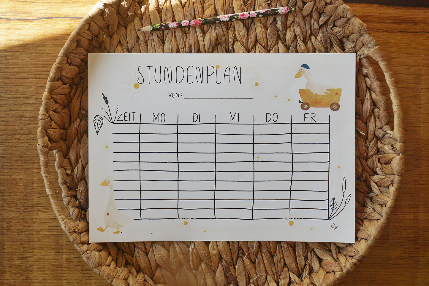 Stundenplan A4 Gänse